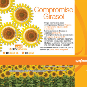 Girasol